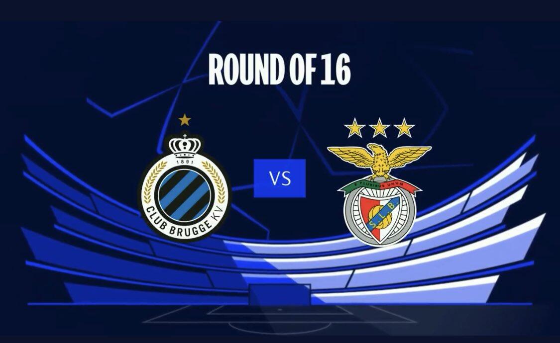 球员与球队 球员与球队